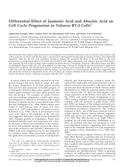 Differential Effect of Jasmonic Acid and Abscisic