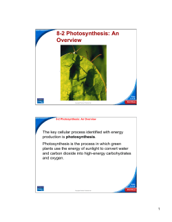 8-2 Photosynthesis: An Overview