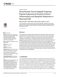 Novel Nuclear Factor-KappaB Targeting Peptide Suppresses &beta;