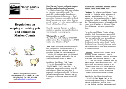 Regulations on keeping or raising pets and animals in Marion County