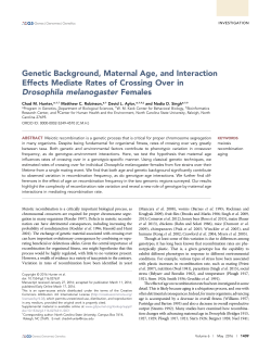 Genetic Background, Maternal Age, and Interaction Effects Mediate