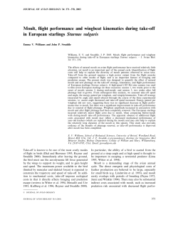 Moult, flight performance and wingbeat