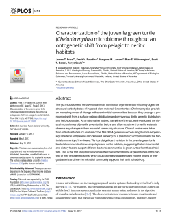 Characterization of the juvenile green turtle (Chelonia mydas