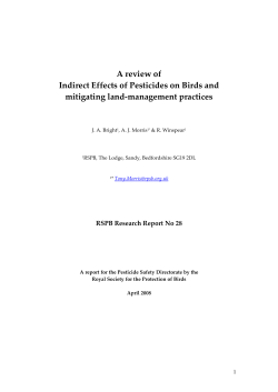 A review of Indirect Effects of Pesticides on Birds and