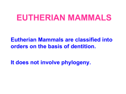 Level 1_ZOOL_03 - EUTHERIAN MAMMALS
