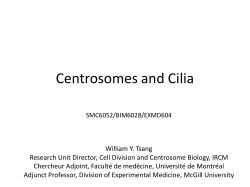Centrosomes and Cilia