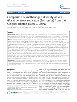 Comparison of methanogen diversity of yak (Bos