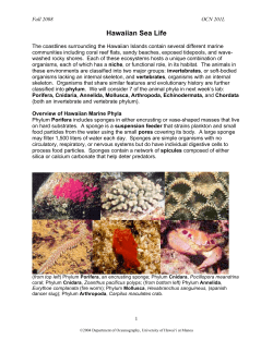 Hawaiian Sea Life reading - SOEST