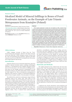 Idealized Model of Mineral Infillings in Bones of Fossil Freshwater