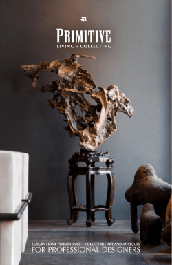 for professional designers