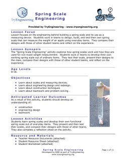 Spring Scale Engineering