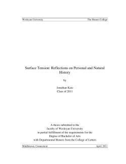 Surface Tension: Reflections on Personal and Natural