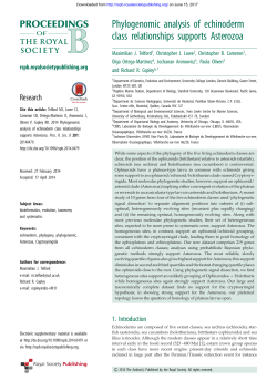 Phylogenomic analysis of echinoderm class relationships supports