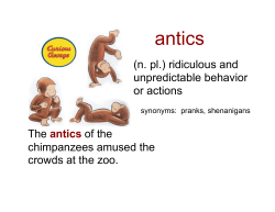 (n. pl.) ridiculous and unpredictable behavior or actions
