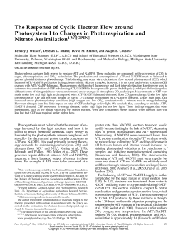 The Response of Cyclic Electron Flow around Photosystem I to
