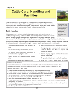 Cattle Care - Handling and Facilities (PDF | 740KB)