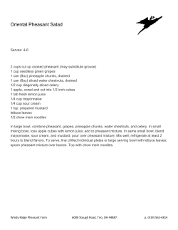 Oriental Pheasant Salad - Windy Ridge Pheasant Farm