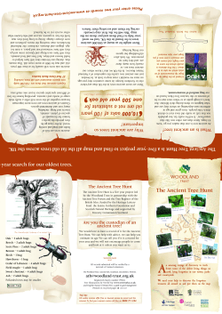 3476 ath intro leaflet