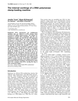 The internal workings of a DNA - Laboratory of DNA Replication