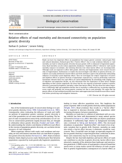 Relative effects of road mortality and decreased connectivity on