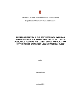 quest for identity in the contemporary american bildungsroman: sue