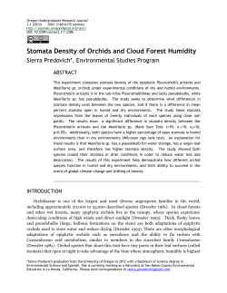Stomata Density of Orchids and Cloud Forest Humidity