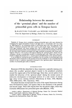 Relationship between the amount of the ` germinal plasm` and the