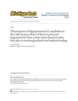 Observations of Hippopotamus H. amphibius in the Little Scarcies