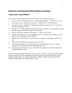 Genomic and episomal DNA isolation protocols