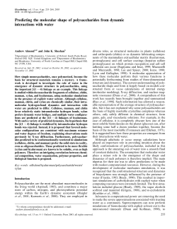 Predicting the molecular shape of polysaccharides from