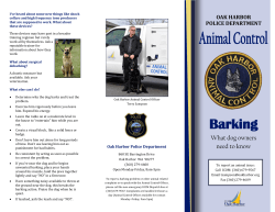 Barking, What Dog Owners Need to Know
