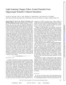 Light Scattering Changes Follow Evoked Potentials From
