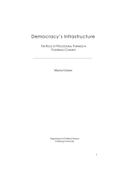 Democracy`s Infrastructure