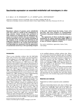 Saccharide expression on wounded endothelial cell monolayers in