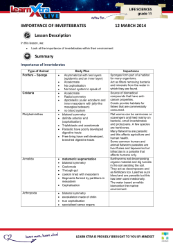 IMPORTANCE OF INVERTEBRATES 12 MARCH