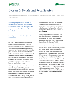 Lesson 2: Death and Fossilization