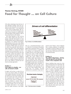 Food for Thought &hellip; on Cell Culture