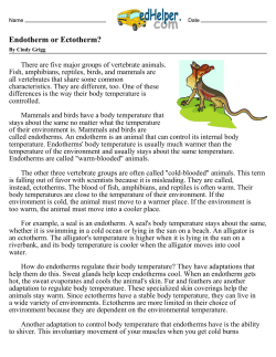 Endotherm or Ectotherm?