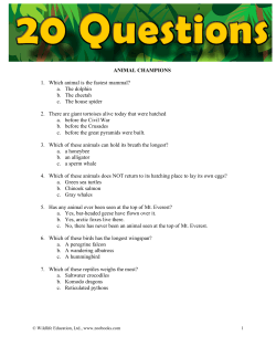 ANIMAL CHAMPIONS 1. Which animal is the fastest