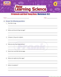 10-Animals and their Young Ones: Worksheet-10.2