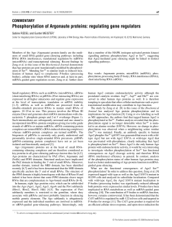 Phosphorylation of Argonaute proteins: regulating gene regulators