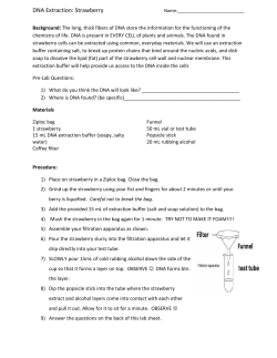 DNA Extraction: Strawberry