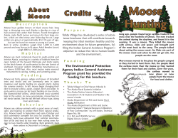 Moose Hunting