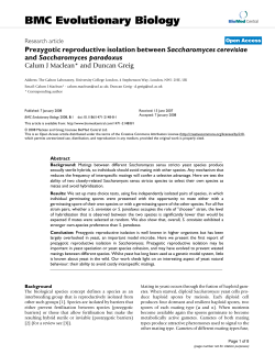 Prezygotic reproductive isolation between Saccharomyces