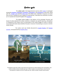 Carbon cycle - Evaeducation