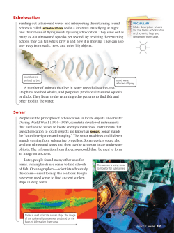 Echolocation Sonar