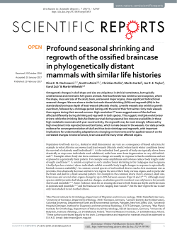 Profound seasonal shrinking and regrowth of the