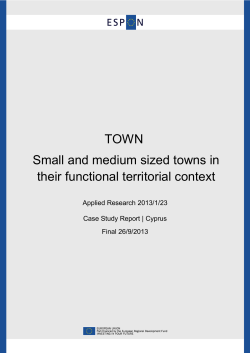 TOWN Small and medium sized towns in their functional territorial