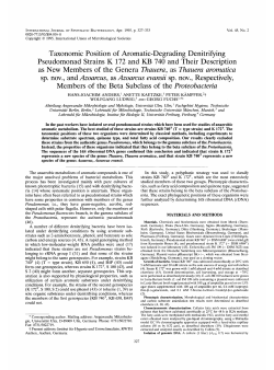 Taxonomic Position of Aromatic