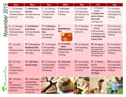 November 2015 Calendar